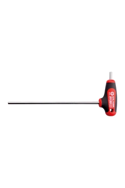K10-025-100\2.5MM T SAPLI ALLEN ANAHTAR CETA
